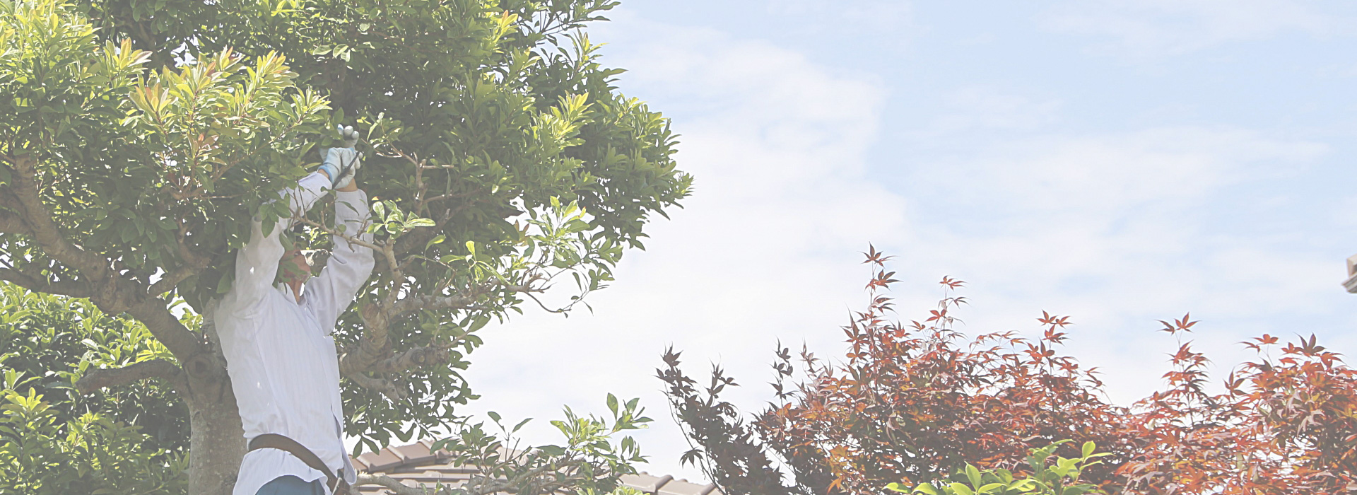 富士市を中心に静岡県全域対応。建設・リフォームから清掃・ハウスクリーニングまで富士市のシンセア環境サービスにお任せください。